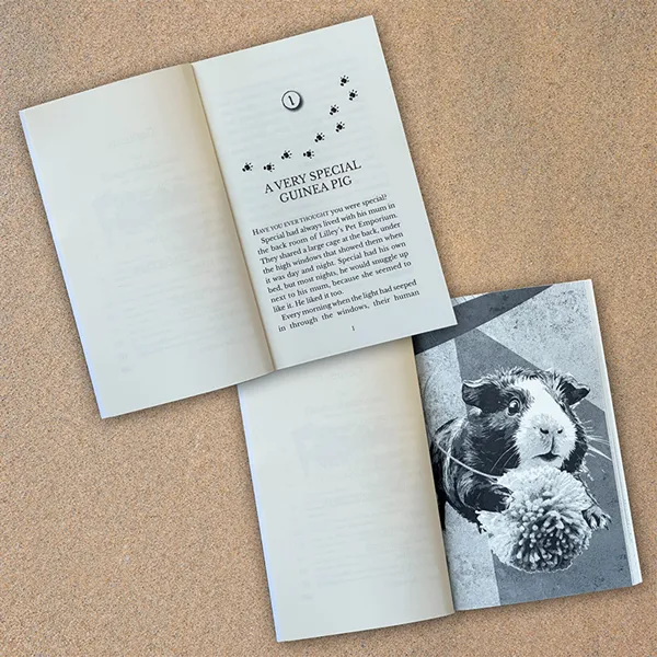 Two open copies of the original paperback on sand, showing Chapter One and a guinea pig illustration